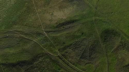 Straight down shot of the farmers field covered with green grass waving in wind