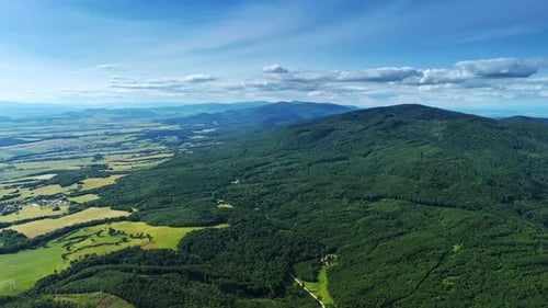 Scenic view of hills and forests. Vast green hills and fields under a clear blue sky