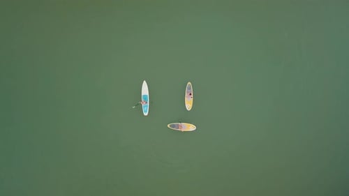 Drone shot of three people paddle boarding on a lake on a sunny day