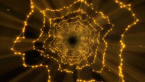 Golden Plexus Tunnel