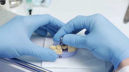 Dentist Working on a Dental Model Close Up