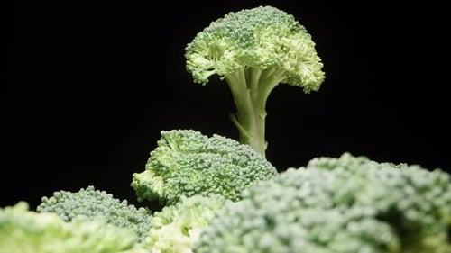 A small broccoli bush rotates in the background. there are many broccoli inflorescences below. Close