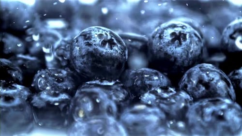 Close Up of Blueberries being Washed