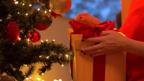 Woman Unwraps Christmas Gift near Decorated Christmas Tree