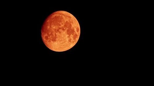 Full Orange Moon Moving in the Night Sky