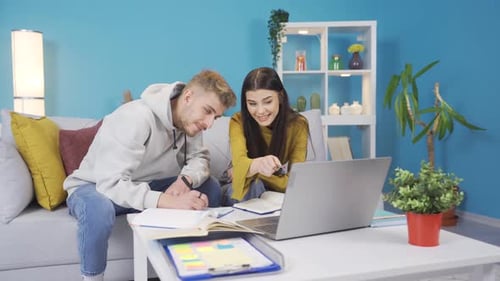 School friends study together at home.