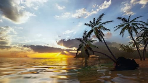 Sunrise On Tropical Island Sea Beach, Calm Ocean Sunset, Palm Tree Leaves Silhouette