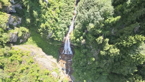 waterfall forest nature