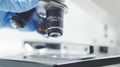 Gloved Hand Uses Microscope in Laboratory Close Up