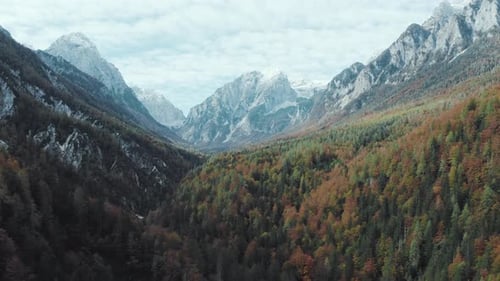 A drone views a colorful forest in fall with snowy mountains in the background on a sunny day.