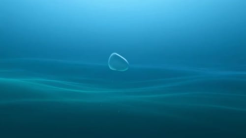 Deep Ocean Gradient