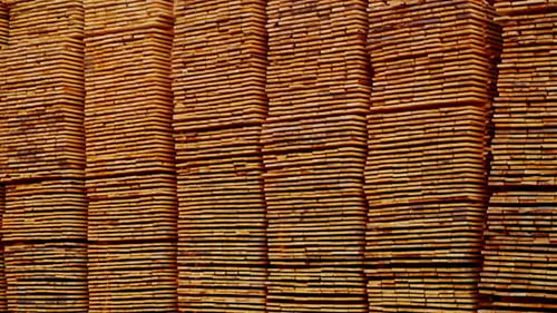 Neatly Stacked Lumber at a Lumberyard
