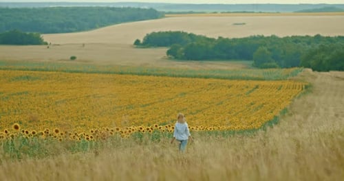 Woman Walks Along a Rural Path in a Field a Walk in Nature