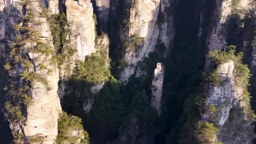 Drone side view of towering green-covered sandstone pillars with deep morning shadows, Zhangjiajie