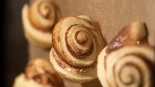 Homemade sweet cinnamon rolls are baked in the oven. Vertical video timelapse.