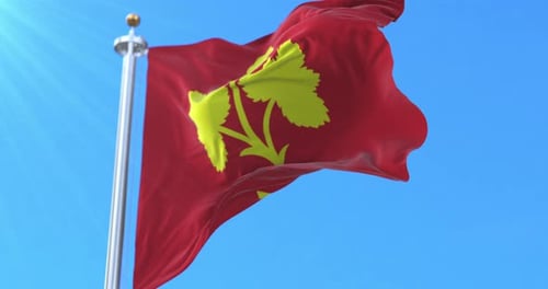 Waving Red Flag with Yellow Cilantro Leaf