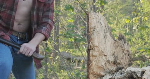 Joven leñador caucásico balanceándose en un árbol con su hacha