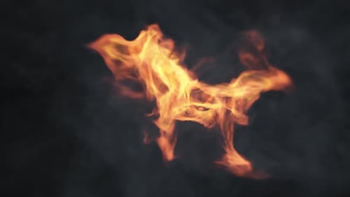 60 Fire HD