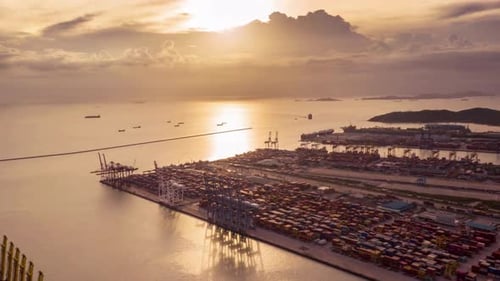 Import And Export Business