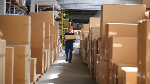 Warehouse Worker Carrying Cardboard Box in Distribution Center