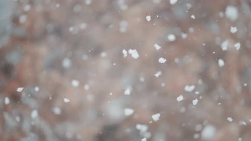 Snowflakes dance in a snowstorm, seen in a close-up shot with a tree of withered leaves in the backg