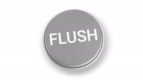Animated Flush Button Press with Minimalist Style