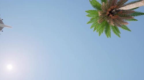 Plane Flies Against the Palm and Sun Clear Blue Sky