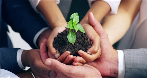 Sustainability and business growth by a corporate team in partnership and unity for future company