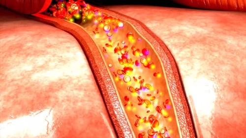A close-up view of a blood vessel with flowing blood cells
