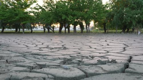 Cracked Dry Earth in Golden Sunlight