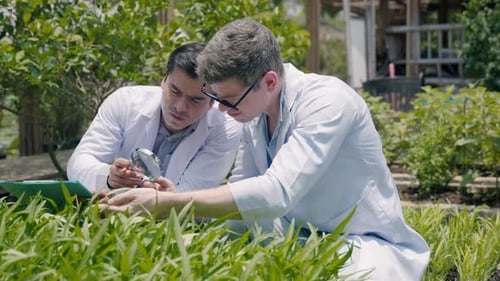 Botanists Studying Plants with Magnifying Glass Outdoors