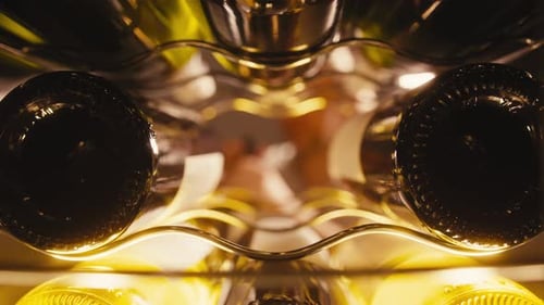 Storing Bottles of Wine in Fridge White and Red Wines in Cooler Alcoholic Card in Restaurant or at