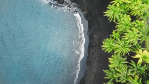 Untouched Nature on Summer Day Dream Trip to Green Island Outdoor Adventure