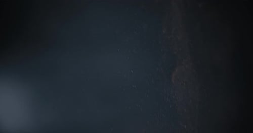 Cocoa powder falling through a metal sieve.
Pastry close up shot.