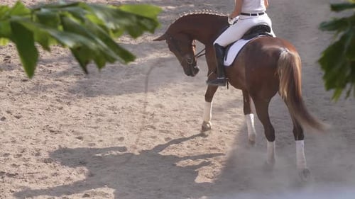 Woman rides horse galloping in equestrian competition training field. Slow motion 120 fps 4k.