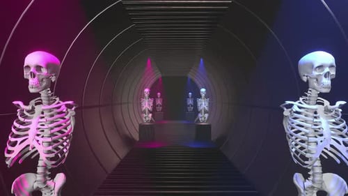 Skeletttunnel 01 4k
