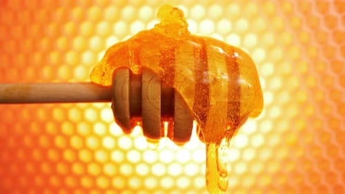 Honey Dipper Stick with Honeycombs