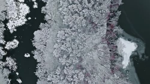 Flying above forest with snow and river in winter, Poland.