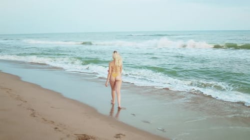 Attractive young woman in a bikini happily enjoying her summer holiday on the beach
