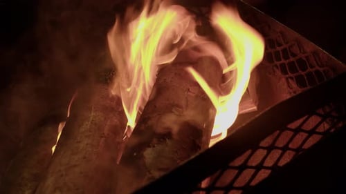 Burning Fire and Wood Logs Inside Enclosure