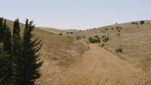 Rolling Hills and Golden Fields Aerial Drone View