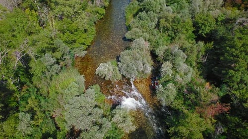 A group of people are rafting down a river surrounded by dense forest taken from above.