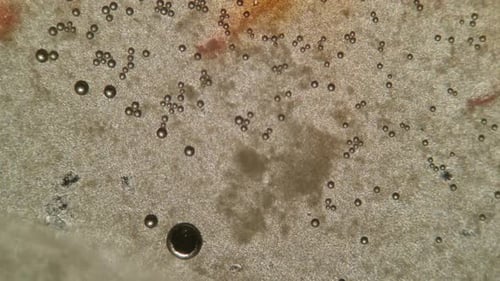 Abstract Microscopic Liquid Bubbles Motion Background