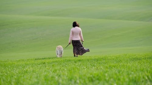 Mujer caminando con un perro perdiguero al aire libre