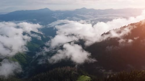 Majestic Carpathian Mountains. Beautiful landscape of untouched nature