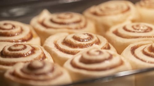 A timelapse of baking homemade cinnamon rolls in the oven. Making Cinnabons.