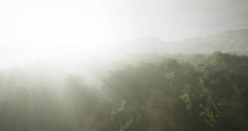 Misty Dawn Over Lush Green Hills Creating a Serene and Tranquil Atmosphere