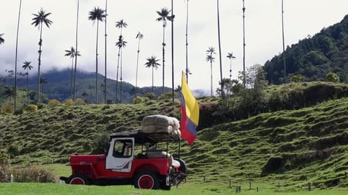 Cocora Valley Landscape with Wax Palm Trees and Flag