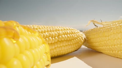 I pour the corn with honey. Juicy yellow cobs are on the table. Summer, sunny day. Close-up. Macro.