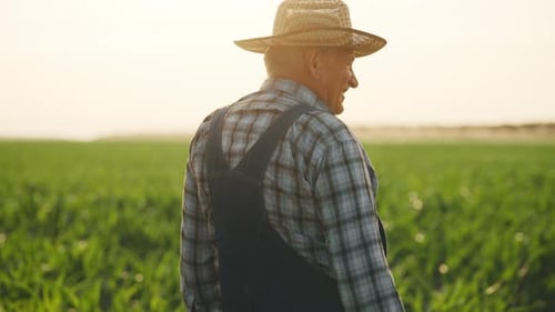Farmer in Field at Sunset